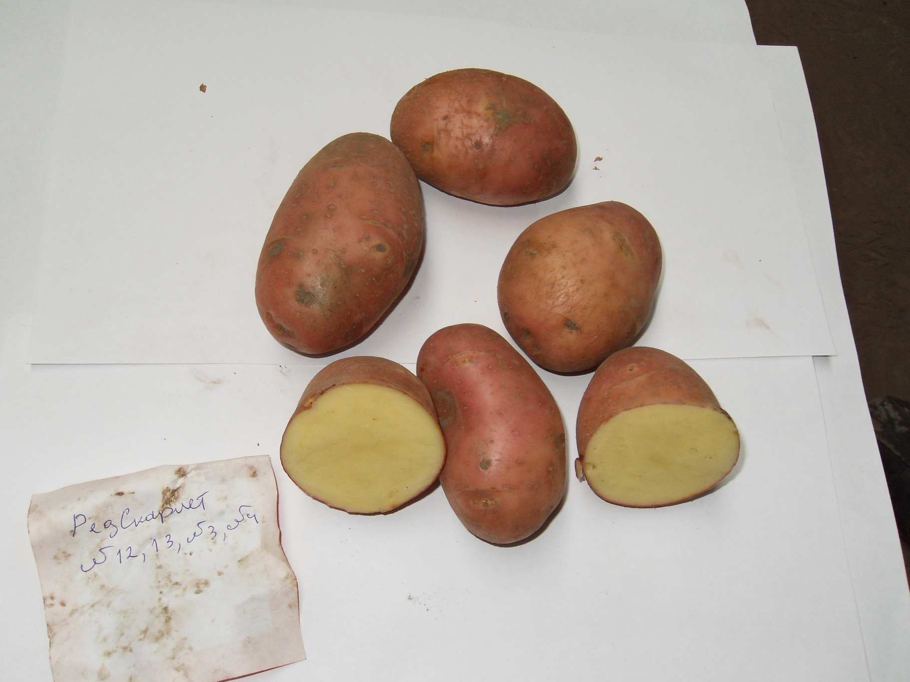 Экологически чистый картофель