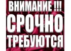 Работа для девушек с высокими потребностями
